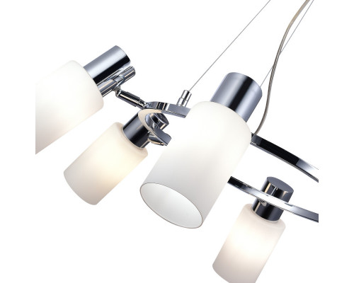 Оформить заказ Подвесная люстра Evoluce SLE1139-103-06| VIVID-LIGHT.RU