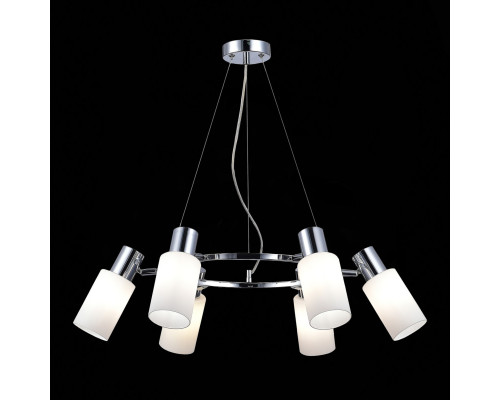 Оформить заказ Подвесная люстра Evoluce SLE1139-103-06| VIVID-LIGHT.RU