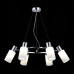 Оформить заказ Подвесная люстра Evoluce SLE1139-103-06| VIVID-LIGHT.RU