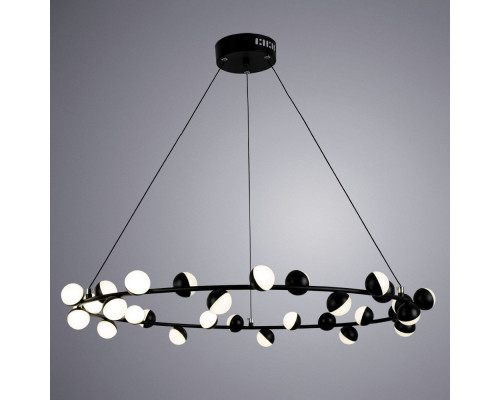 Оформить заказ Подвесная люстра ARTE Lamp A3619SP-30BK| VIVID-LIGHT.RU