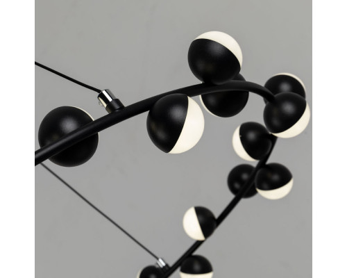 Оформить заказ Подвесная люстра ARTE Lamp A3619SP-30BK| VIVID-LIGHT.RU