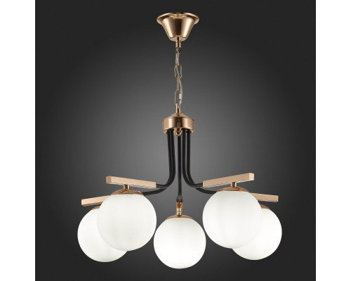Заказать Подвесная люстра Evoluce SLE106803-05| VIVID-LIGHT.RU