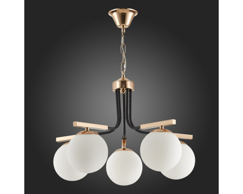 Заказать Подвесная люстра Evoluce SLE106803-05| VIVID-LIGHT.RU