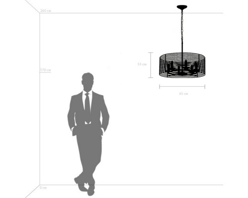 Сделать заказ Подвесная люстра Lightstar 728063| VIVID-LIGHT.RU