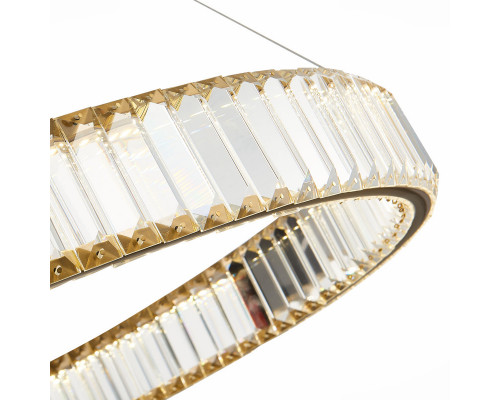 Заказать Подвесная люстра ST-Luce SL1622.313.01| VIVID-LIGHT.RU