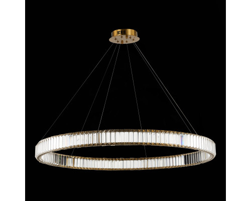 Заказать Подвесная люстра ST-Luce SL1622.313.01| VIVID-LIGHT.RU