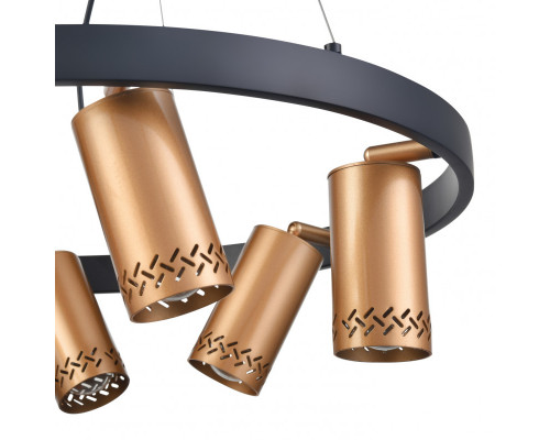 Заказать Подвесная люстра Vele Luce VL5784P06| VIVID-LIGHT.RU