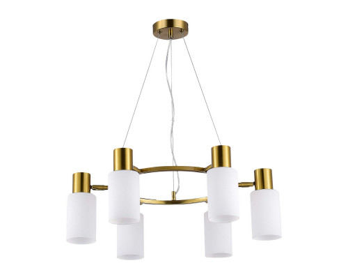 Оформить заказ Подвесная люстра Evoluce SLE1139-303-06| VIVID-LIGHT.RU