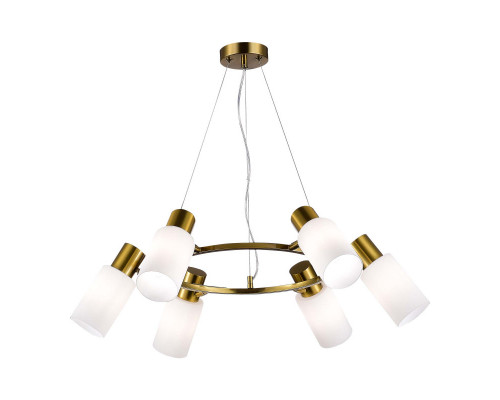 Оформить заказ Подвесная люстра Evoluce SLE1139-303-06| VIVID-LIGHT.RU