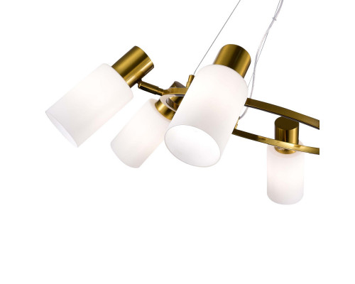 Оформить заказ Подвесная люстра Evoluce SLE1139-303-06| VIVID-LIGHT.RU