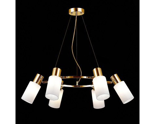 Оформить заказ Подвесная люстра Evoluce SLE1139-303-06| VIVID-LIGHT.RU