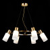 Оформить заказ Подвесная люстра Evoluce SLE1139-303-06| VIVID-LIGHT.RU