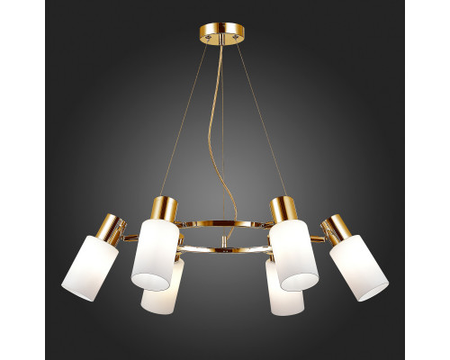 Оформить заказ Подвесная люстра Evoluce SLE1139-303-06| VIVID-LIGHT.RU