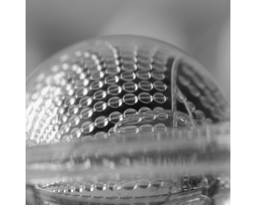 Оформить заказ Подвесная люстра MW-Light 464018506| VIVID-LIGHT.RU