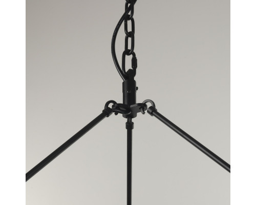 Оформить заказ Подвесная люстра Citilux CL470254| VIVID-LIGHT.RU