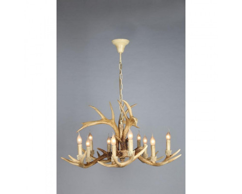 Оформить заказ Подвесная люстра OML-52003-10 Omnilux| VIVID-LIGHT.RU