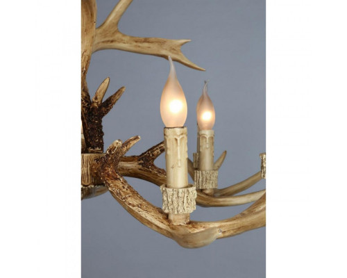 Оформить заказ Подвесная люстра OML-52003-10 Omnilux| VIVID-LIGHT.RU