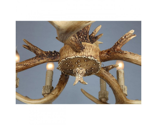 Оформить заказ Подвесная люстра OML-52003-10 Omnilux| VIVID-LIGHT.RU