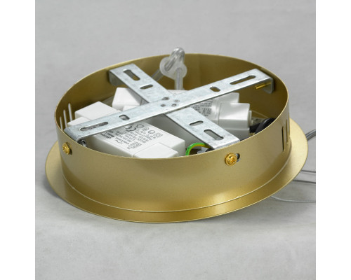 Заказать Подвесная люстра LOFT LSP-8367| VIVID-LIGHT.RU