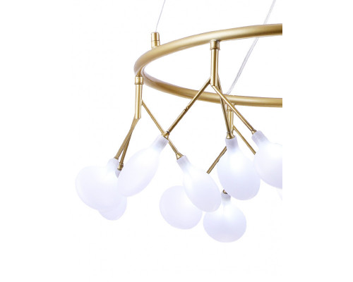 Заказать Подвесная люстра Natali Kovaltseva GRACE 75125/6С GOLD SATIN| VIVID-LIGHT.RU