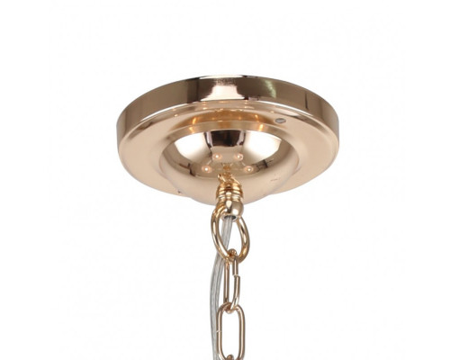 Оформить заказ Подвесная люстра F-Promo 2756-5P| VIVID-LIGHT.RU