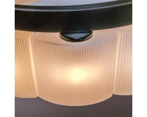 Заказать Подвесная люстра Lightstar 812186| VIVID-LIGHT.RU