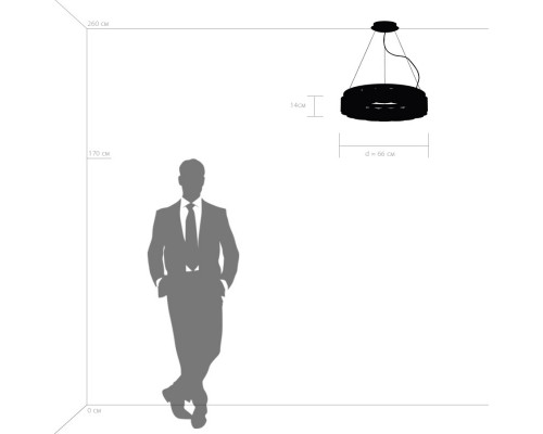 Заказать Подвесная люстра Lightstar 812186| VIVID-LIGHT.RU