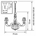 Сделать заказ Подвесная люстра Lightstar 702104| VIVID-LIGHT.RU