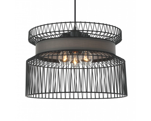 Заказать Подвесная люстра Favourite 2363-2P| VIVID-LIGHT.RU