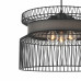 Заказать Подвесная люстра Favourite 2363-2P| VIVID-LIGHT.RU