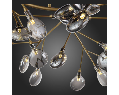 Заказать Подвесная люстра ST-Luce SL411.243.45| VIVID-LIGHT.RU