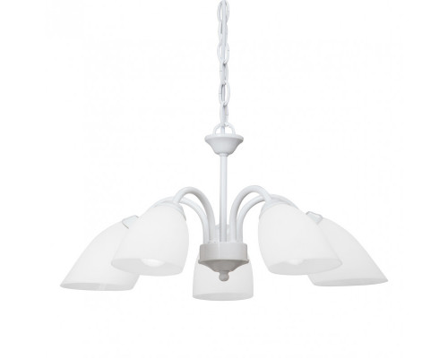 Сделать заказ Подвесная люстра Vitaluce V3336/5| VIVID-LIGHT.RU