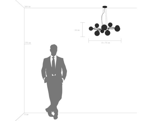 Купить Подвесная люстра Lightstar 815091| VIVID-LIGHT.RU