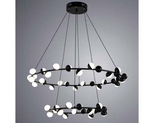 Заказать Подвесная люстра ARTE Lamp A3619SP-48BK| VIVID-LIGHT.RU