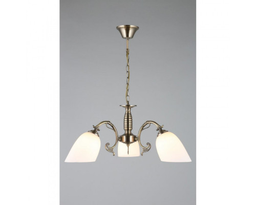 Сделать заказ Подвесная люстра Omnilux OML-56407-03| VIVID-LIGHT.RU