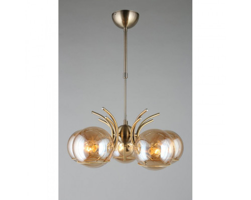 Заказать Подвесная люстра Omnilux OML-28907-05| VIVID-LIGHT.RU