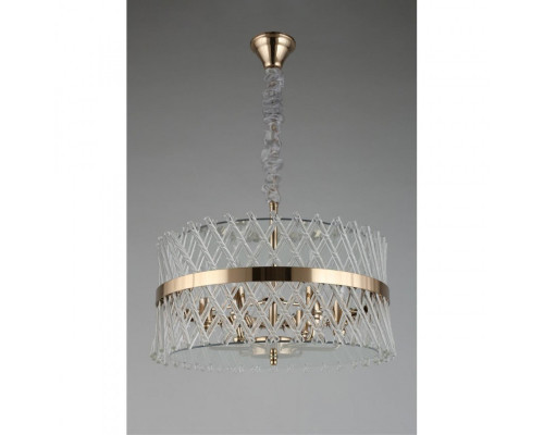 Заказать Подвесная люстра APLOYT APL.734.06.06| VIVID-LIGHT.RU