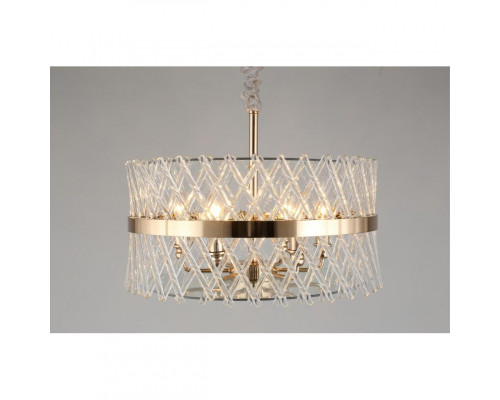 Заказать Подвесная люстра APLOYT APL.734.06.06| VIVID-LIGHT.RU