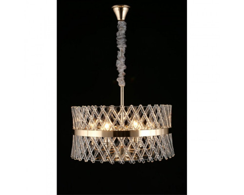 Заказать Подвесная люстра APLOYT APL.734.06.06| VIVID-LIGHT.RU