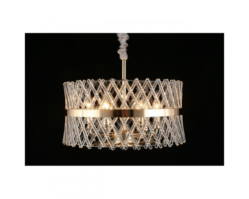 Заказать Подвесная люстра APLOYT APL.734.06.06| VIVID-LIGHT.RU