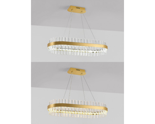 Сделать заказ Подвесная люстра Natali Kovaltseva LED LAMPS 81252| VIVID-LIGHT.RU