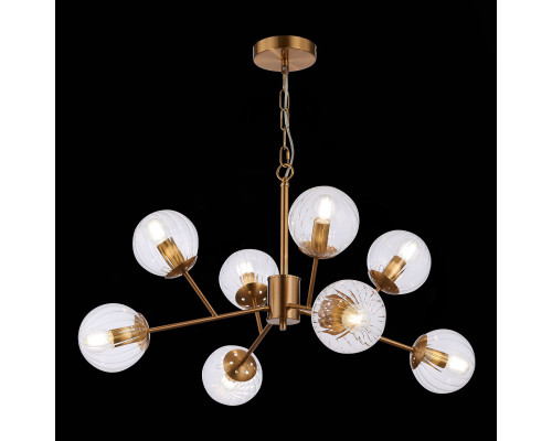 Оформить заказ Подвесная люстра Evoluce SLE220803-08| VIVID-LIGHT.RU