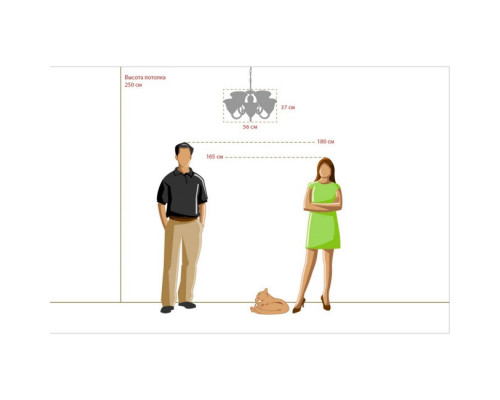 Оформить заказ Подвесная люстра MW-Light 450016305| VIVID-LIGHT.RU