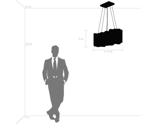 Оформить заказ Подвесная люстра Lightstar 802135| VIVID-LIGHT.RU