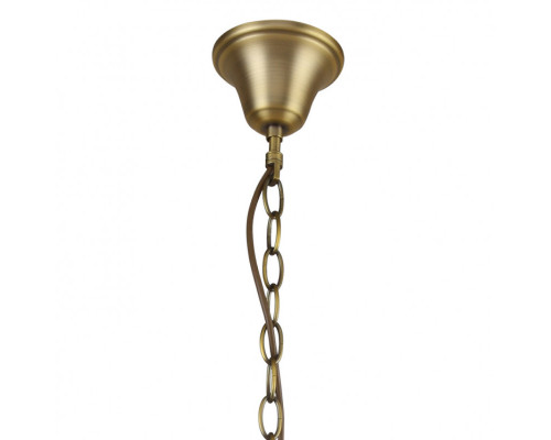 Сделать заказ Подвесная люстра F-Promo 2347-8P| VIVID-LIGHT.RU