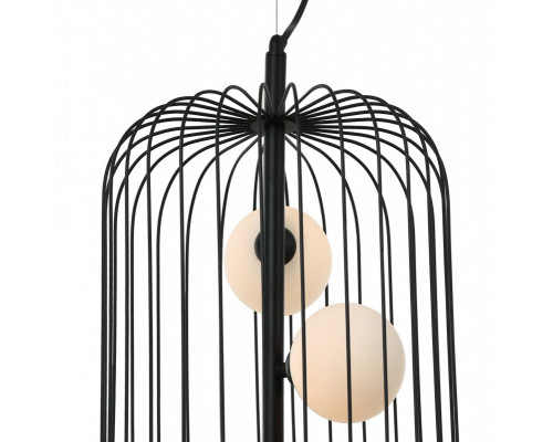 Оформить заказ Подвесная люстра Favourite 2367-3P| VIVID-LIGHT.RU