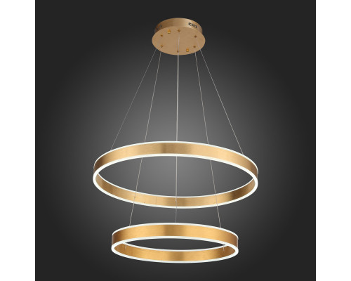 Заказать Подвесная люстра ST-Luce SL944.203.02| VIVID-LIGHT.RU