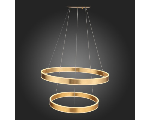 Заказать Подвесная люстра ST-Luce SL944.203.02| VIVID-LIGHT.RU