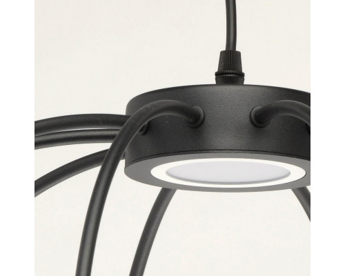 Купить Подвесная люстра DeMarkt 412010601| VIVID-LIGHT.RU