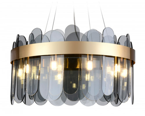 Оформить заказ Подвесная люстра Ambrella Light TR5342| VIVID-LIGHT.RU